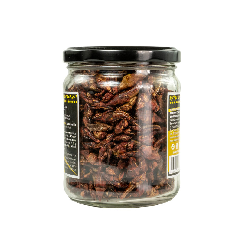 SALCHITA Chapulines horneados con ajo y limón - Image 4